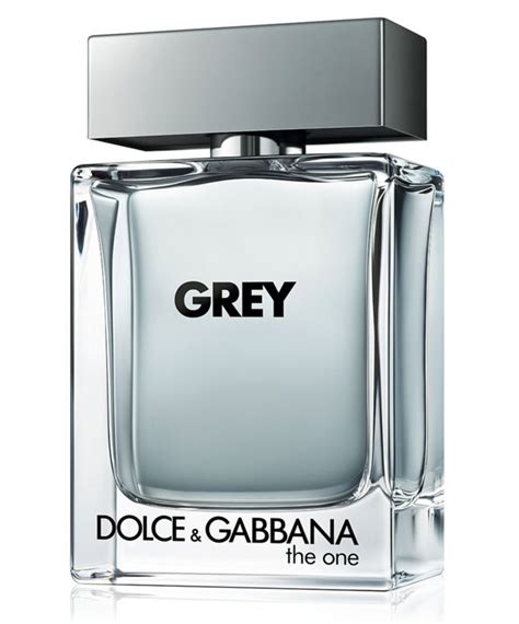 the one grey dolce gabbana fragrantica|Dolce & Gabbana grey for men.